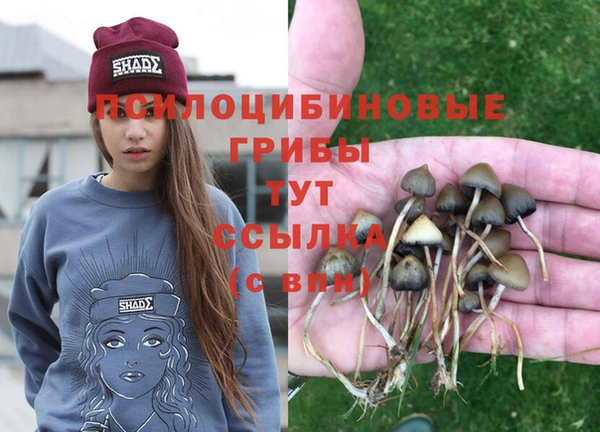 apvp Баксан