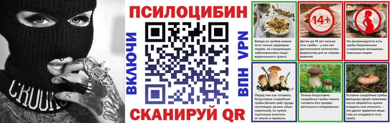 Псилоцибиновые грибы Cubensis  Курчалой 