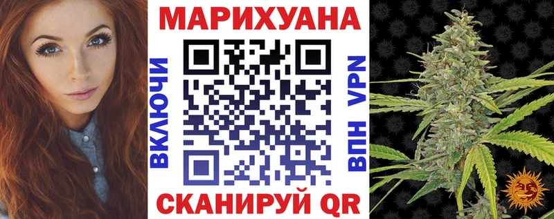 Конопля семена  купить наркотики цена  Курчалой 